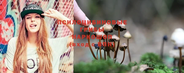 не бодяженный Козельск