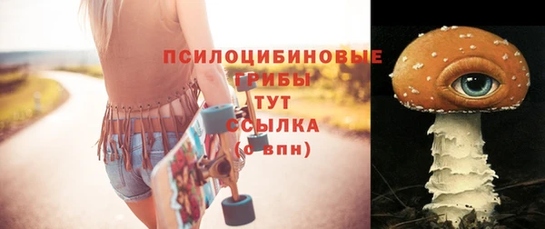 гашик Козловка