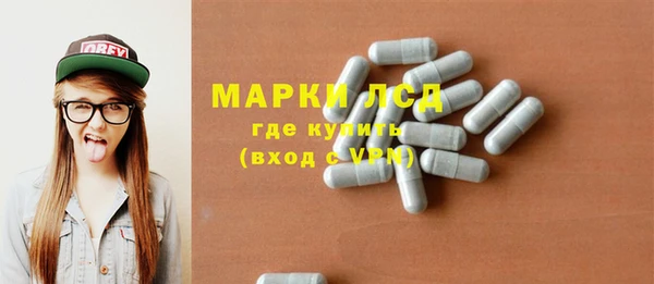 гашик Козловка