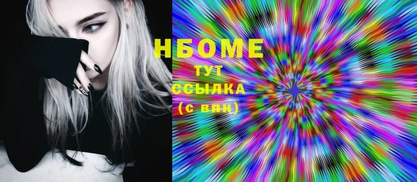 гашик Козловка