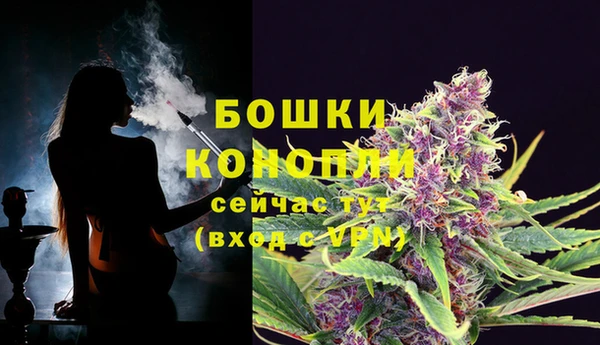 гашик Козловка