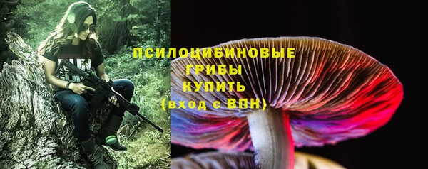 гашик Козловка