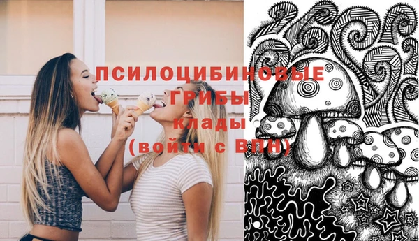 не бодяженный Козельск