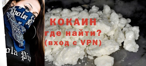 гашик Козловка