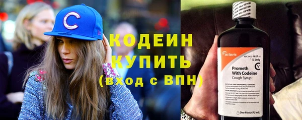 гашик Козловка