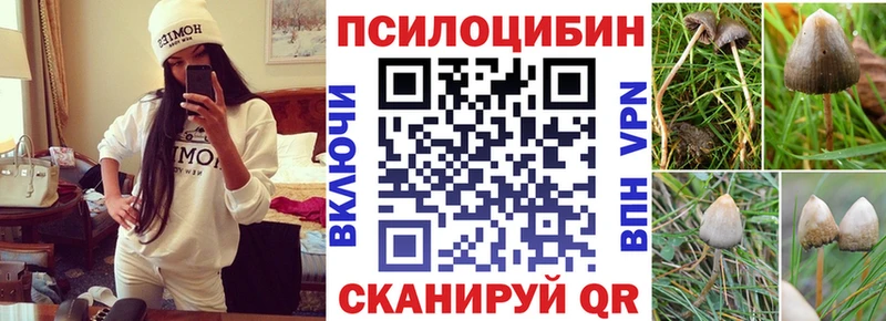 купить   Нариманов  kraken сайт  Псилоцибиновые грибы мухоморы 